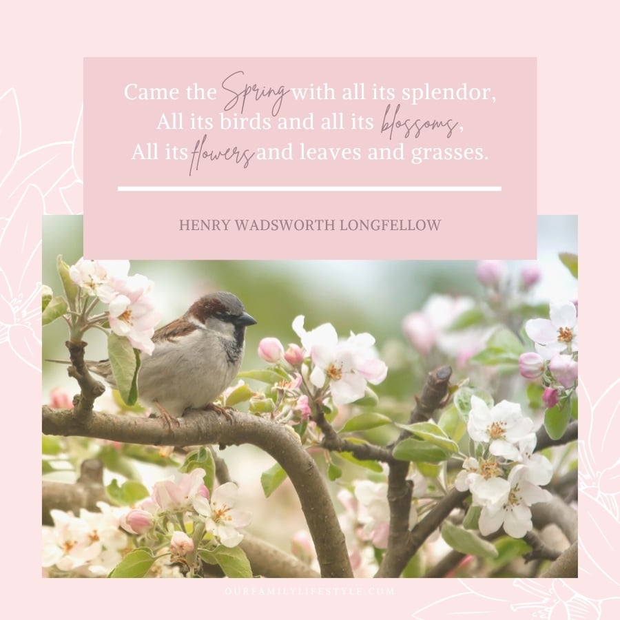Henry Wadsworth Longfellow spring quote