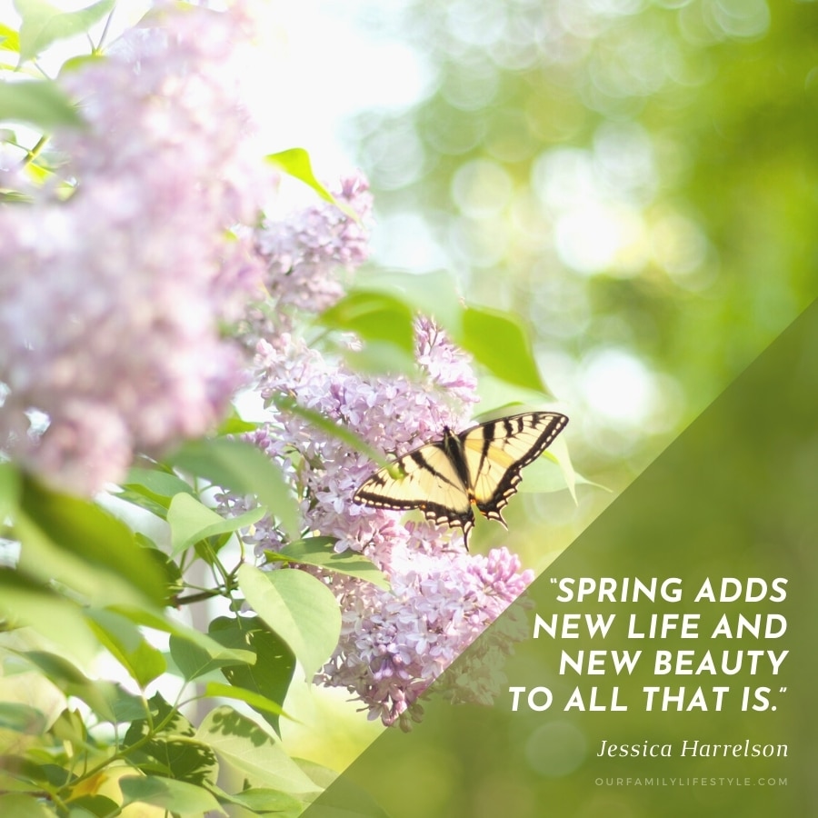 Jessica Harrelson Spring new life quote