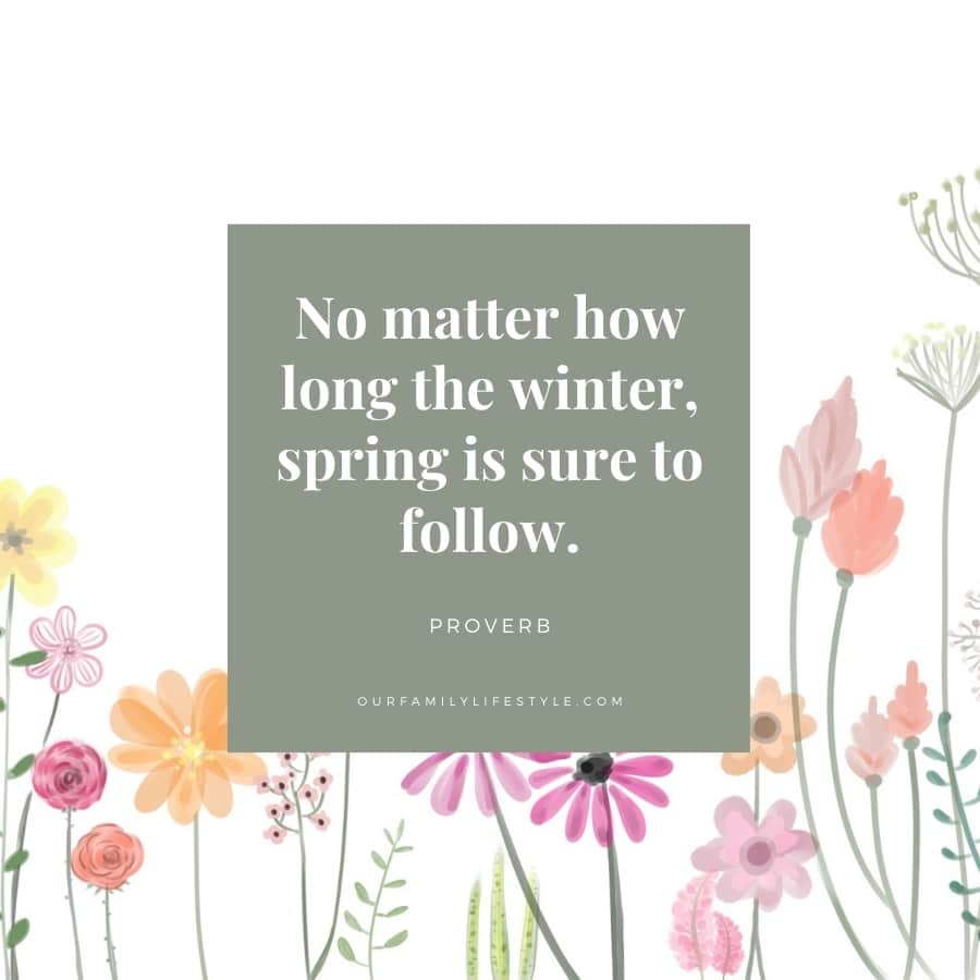 Spring Proverb