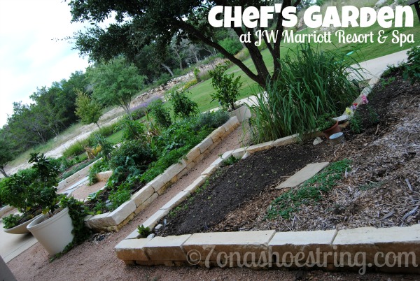 Chef's Garden Chef's Garden