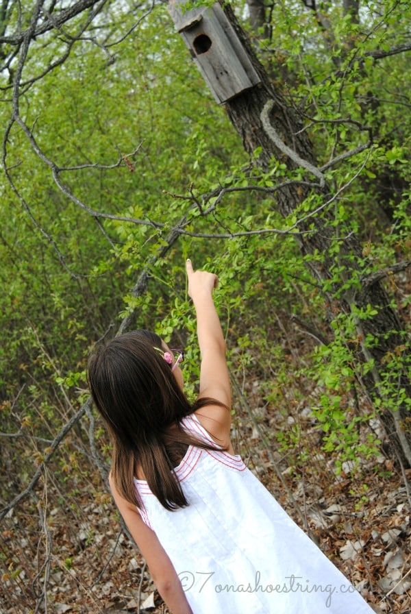 Springtime scavenger hunt birdhouse