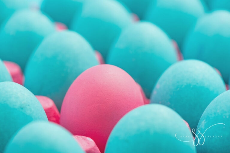single pink egg in a carton filled with teal eggs