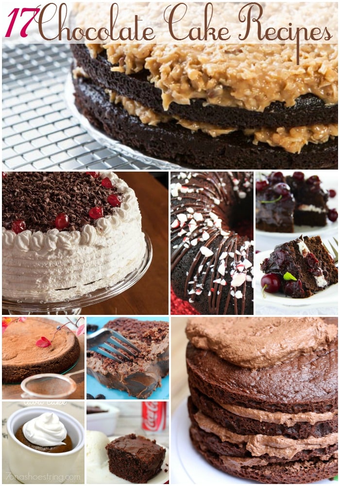 17 Chocolate Cake Recipes