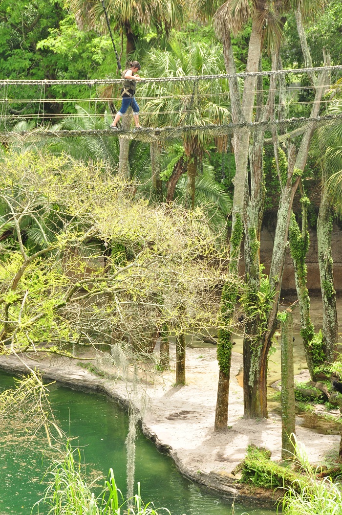 Wild Africa Trek rope bridge