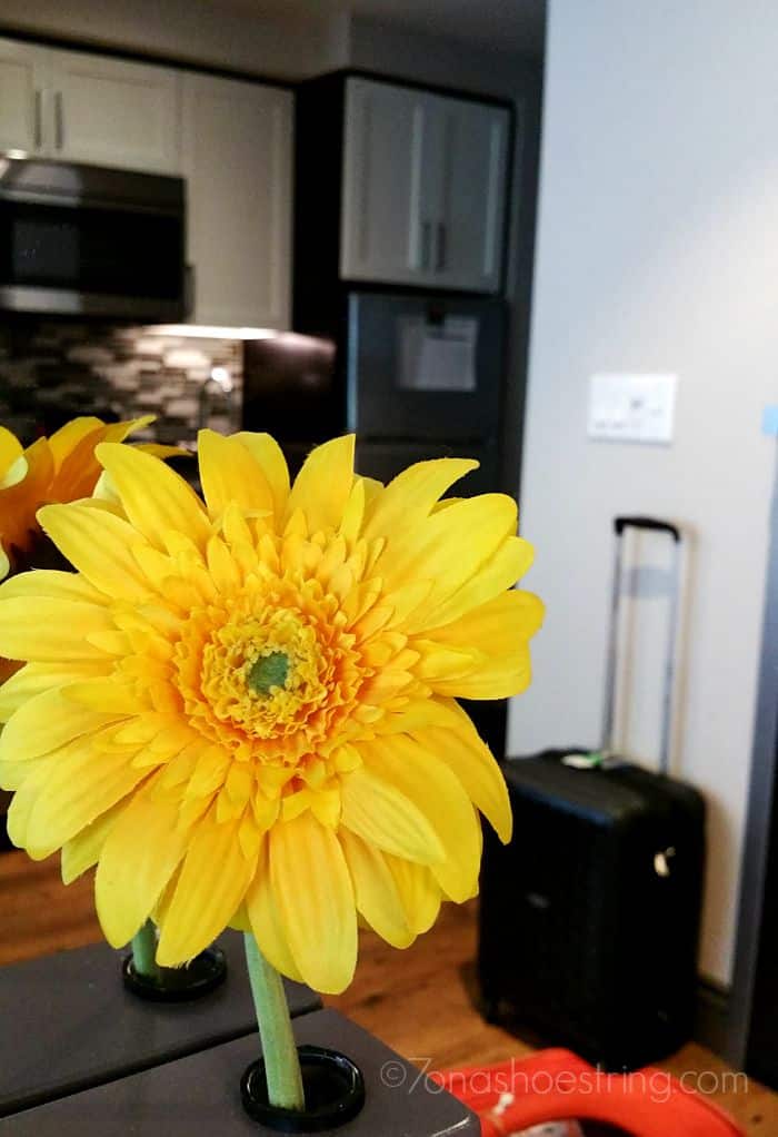 Homewood Suites little things big difference Homewood Suites little things big difference