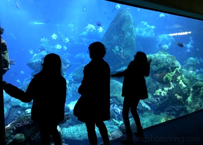 Chattanooga Spring Break Fun for Family