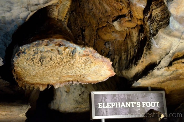 Elephants Foot - Ruby Falls Elephants Foot - Ruby Falls