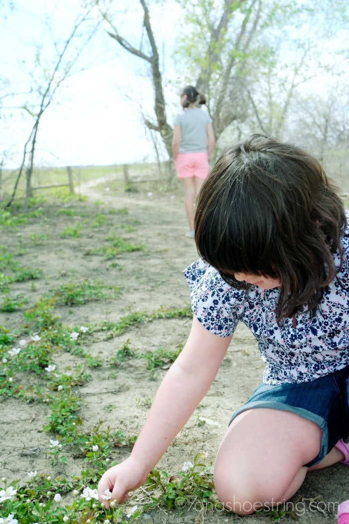 plan your itinerary plan your itinerary