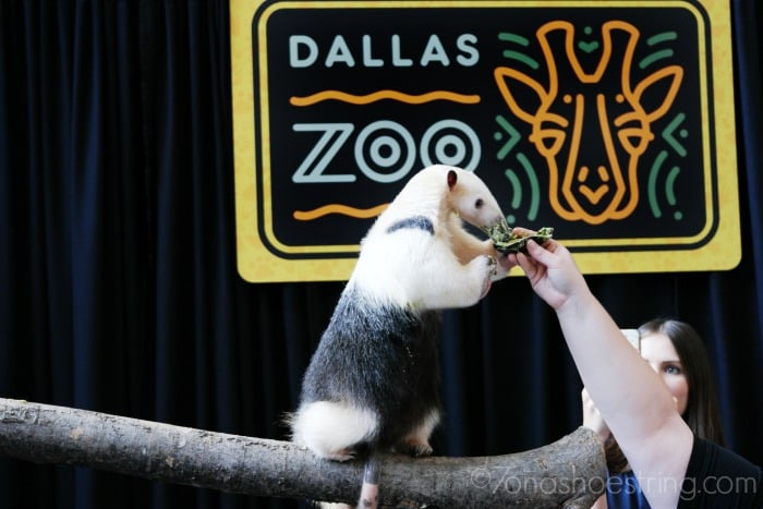Frito-Lay 2 GO (FL2Go) and the Association of Zoos and Aquariums (AZA)