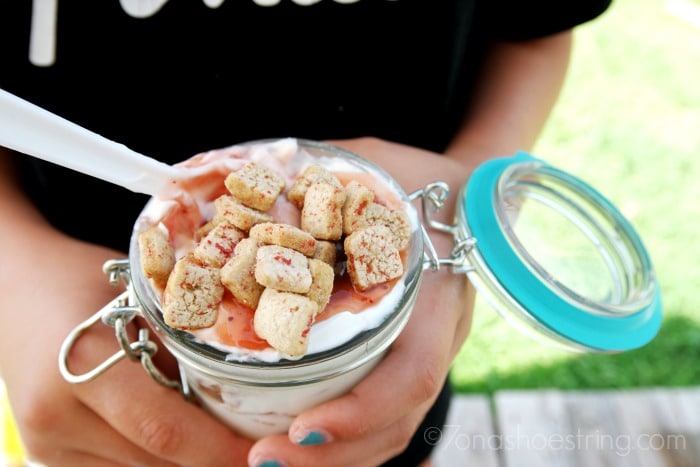 Strawberry-Yogurt-Parfait-on-the-go