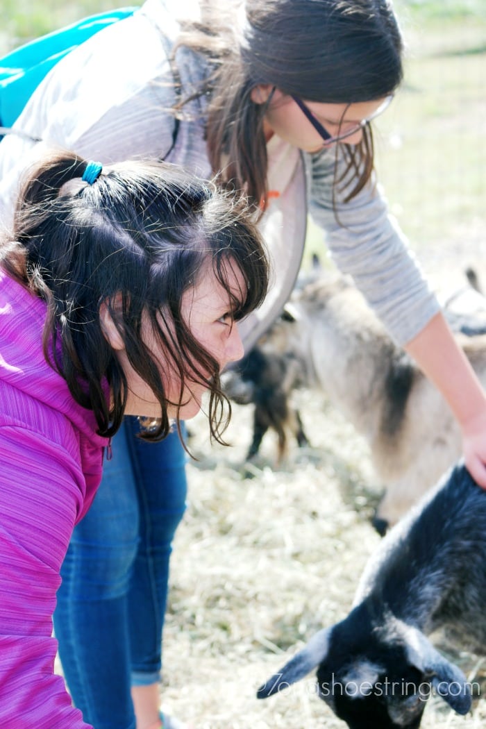 Mt-Hood-Territory-for-kids