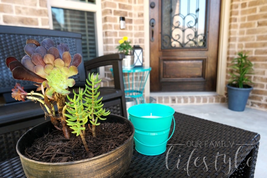 succulent centerpiece