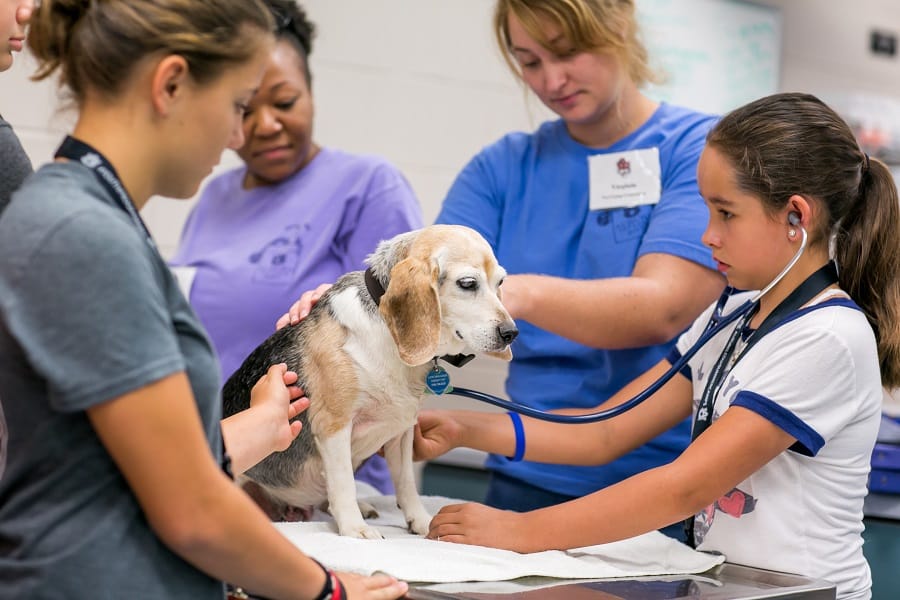 Auburn University's Junior Vet Camp Auburn University's Junior Vet Camp