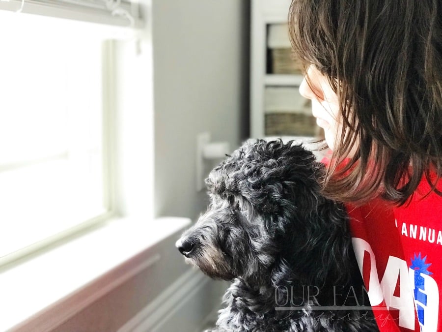 Become a Veterinarian Camp Contest Become a Veterinarian Camp Contest