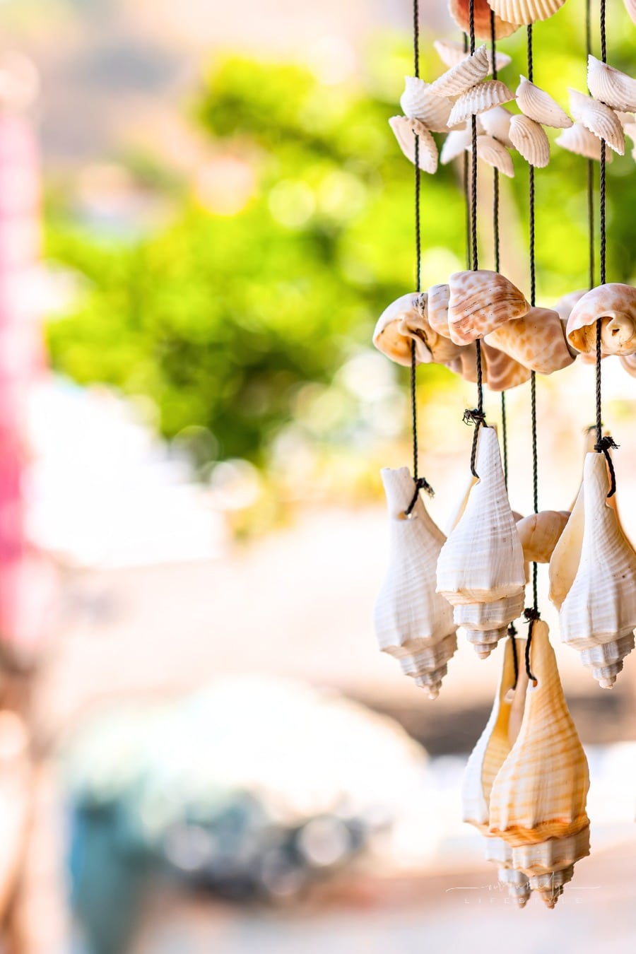 Seashell Wind Chimes