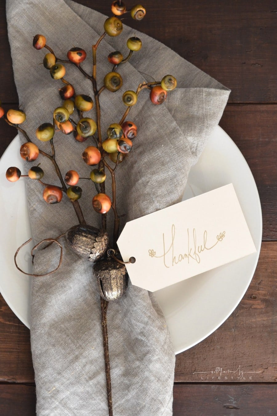Thanksgiving-themed branch atop a burlap napking across a white plate with a tag with word, "thankful"